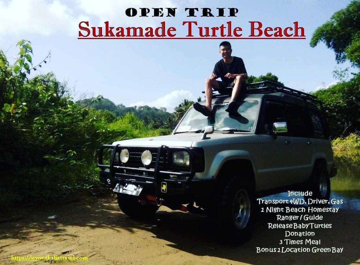 Thalia Homestay & Ijen Bromo Tour Banyuwangi  Exterior foto