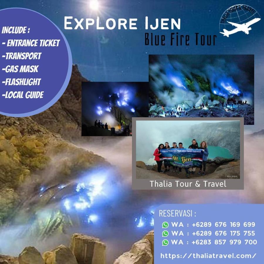 Thalia Homestay & Ijen Bromo Tour Banyuwangi  Exterior foto