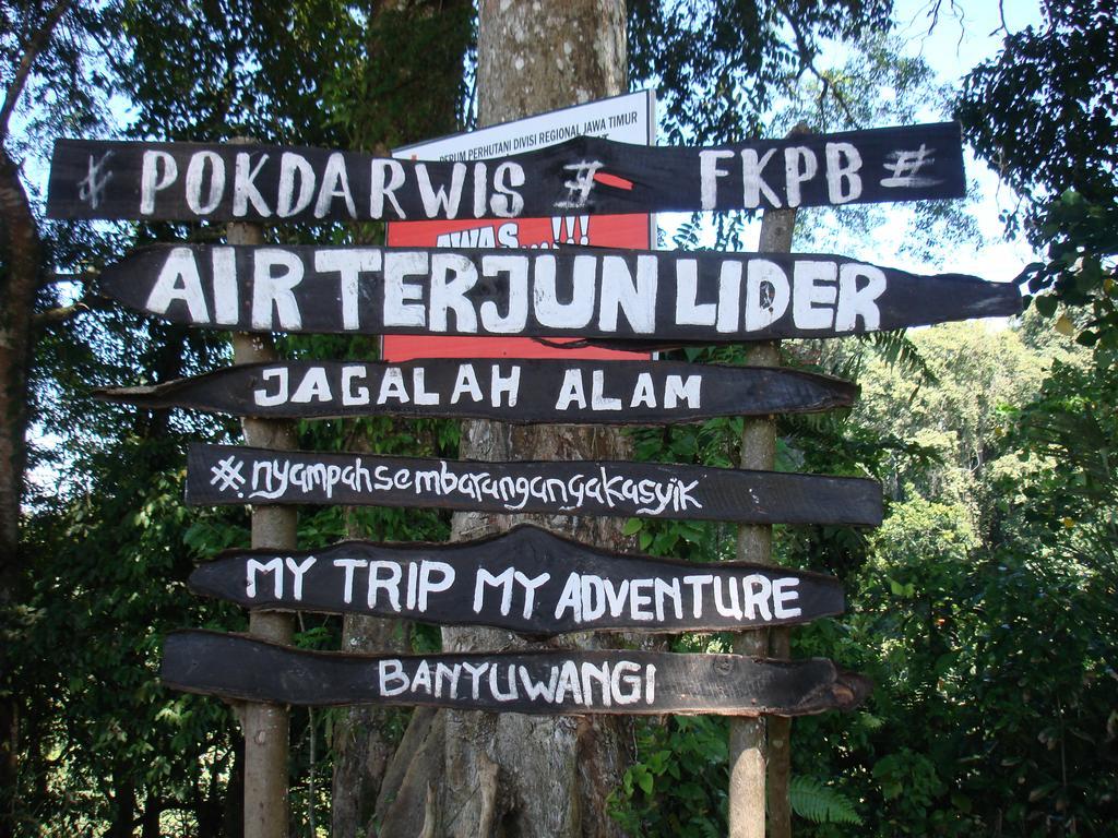 Thalia Homestay & Ijen Bromo Tour Banyuwangi  Exterior foto