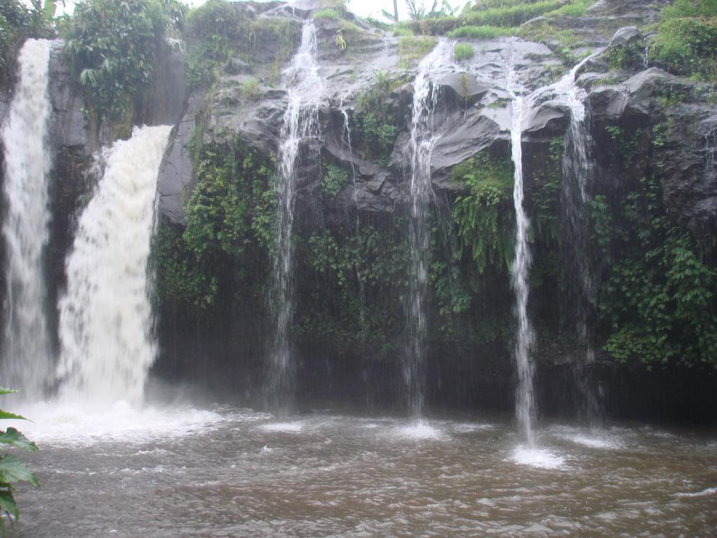Thalia Homestay & Ijen Bromo Tour Banyuwangi  Exterior foto
