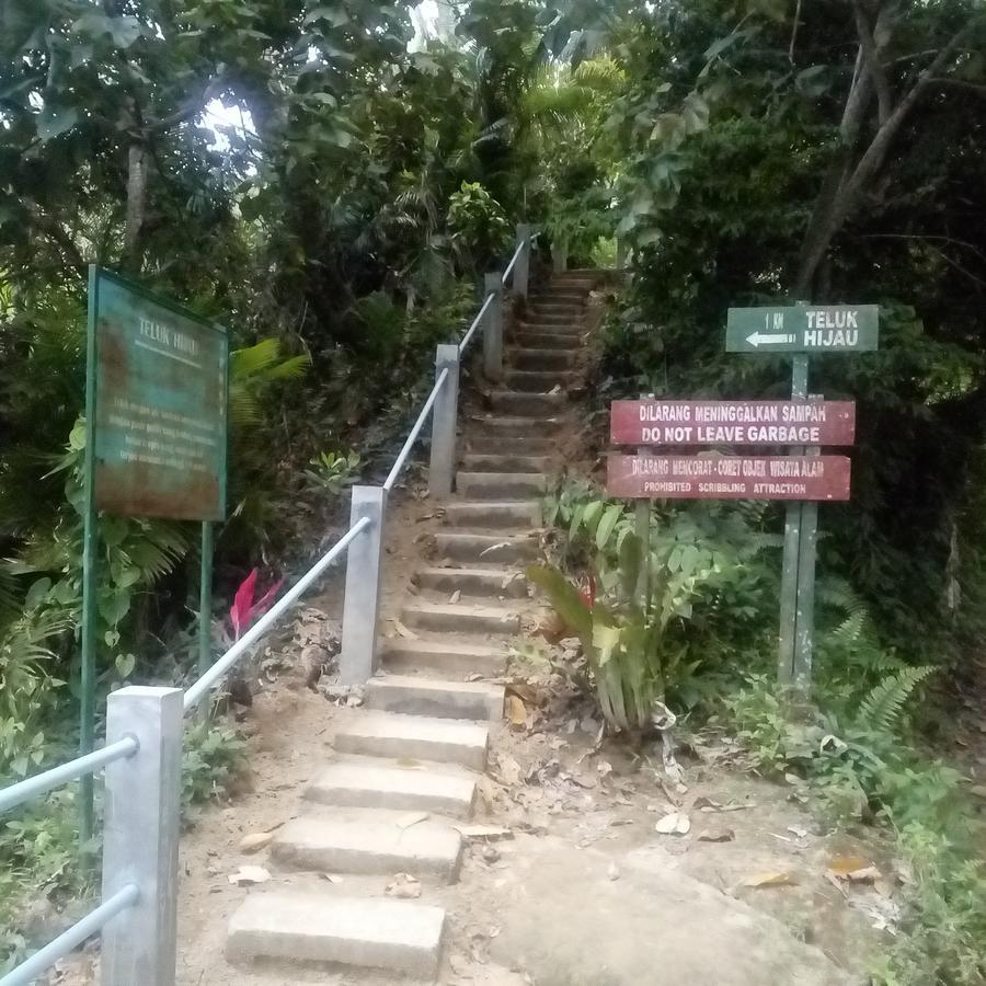 Thalia Homestay & Ijen Bromo Tour Banyuwangi  Exterior foto