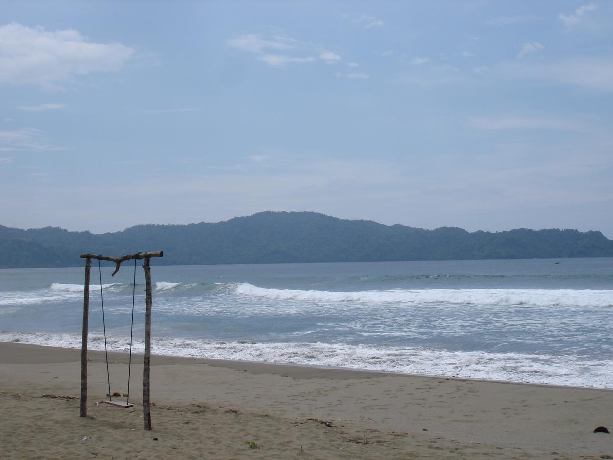 Thalia Homestay & Ijen Bromo Tour Banyuwangi  Exterior foto