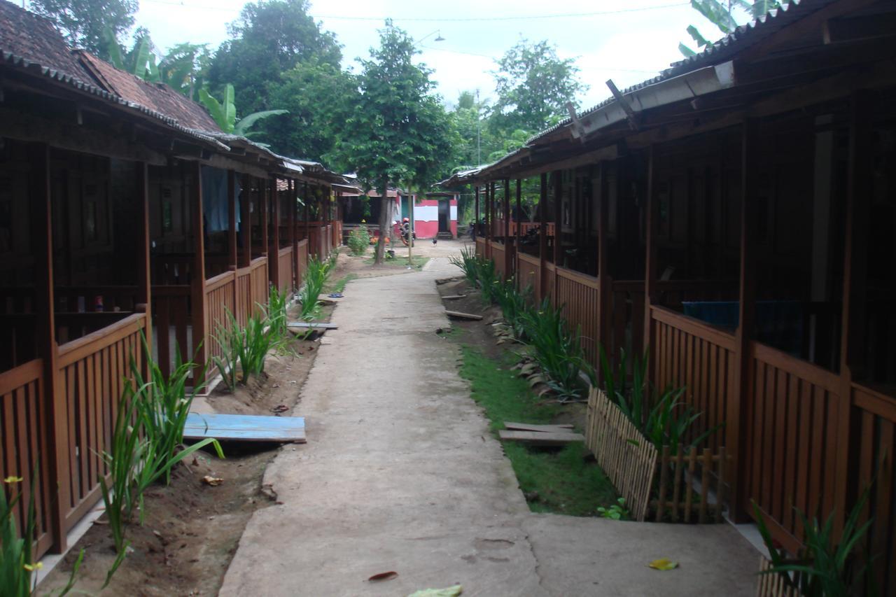 Thalia Homestay & Ijen Bromo Tour Banyuwangi  Exterior foto