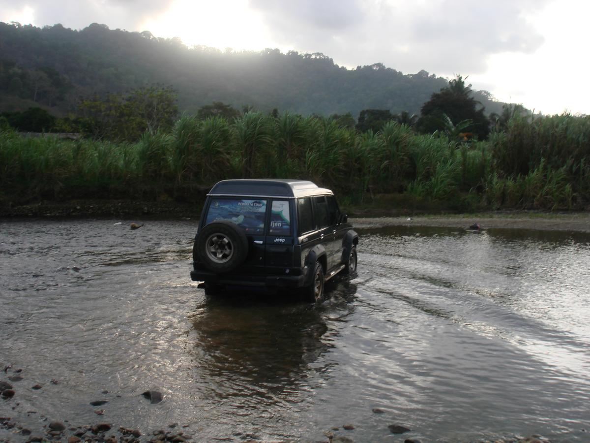 Thalia Homestay & Ijen Bromo Tour Banyuwangi  Exterior foto