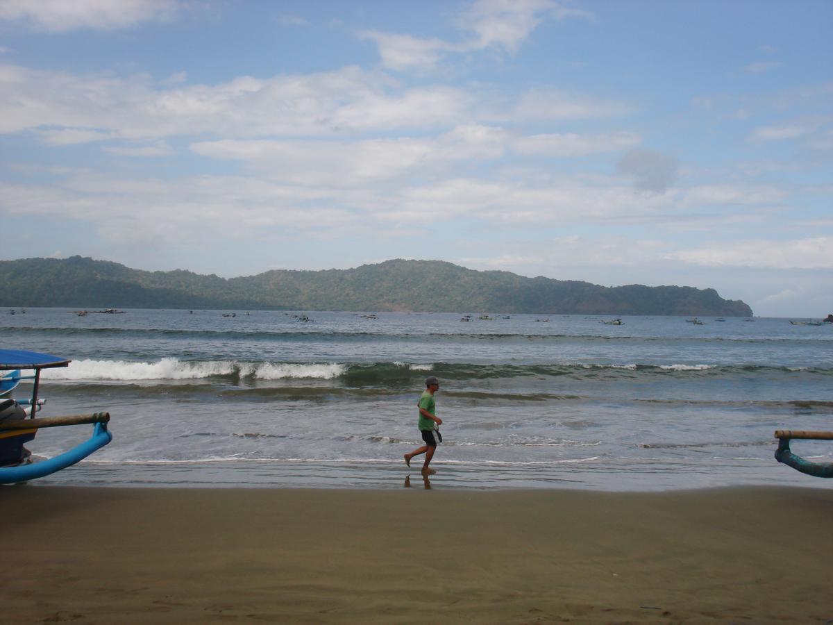 Thalia Homestay & Ijen Bromo Tour Banyuwangi  Exterior foto